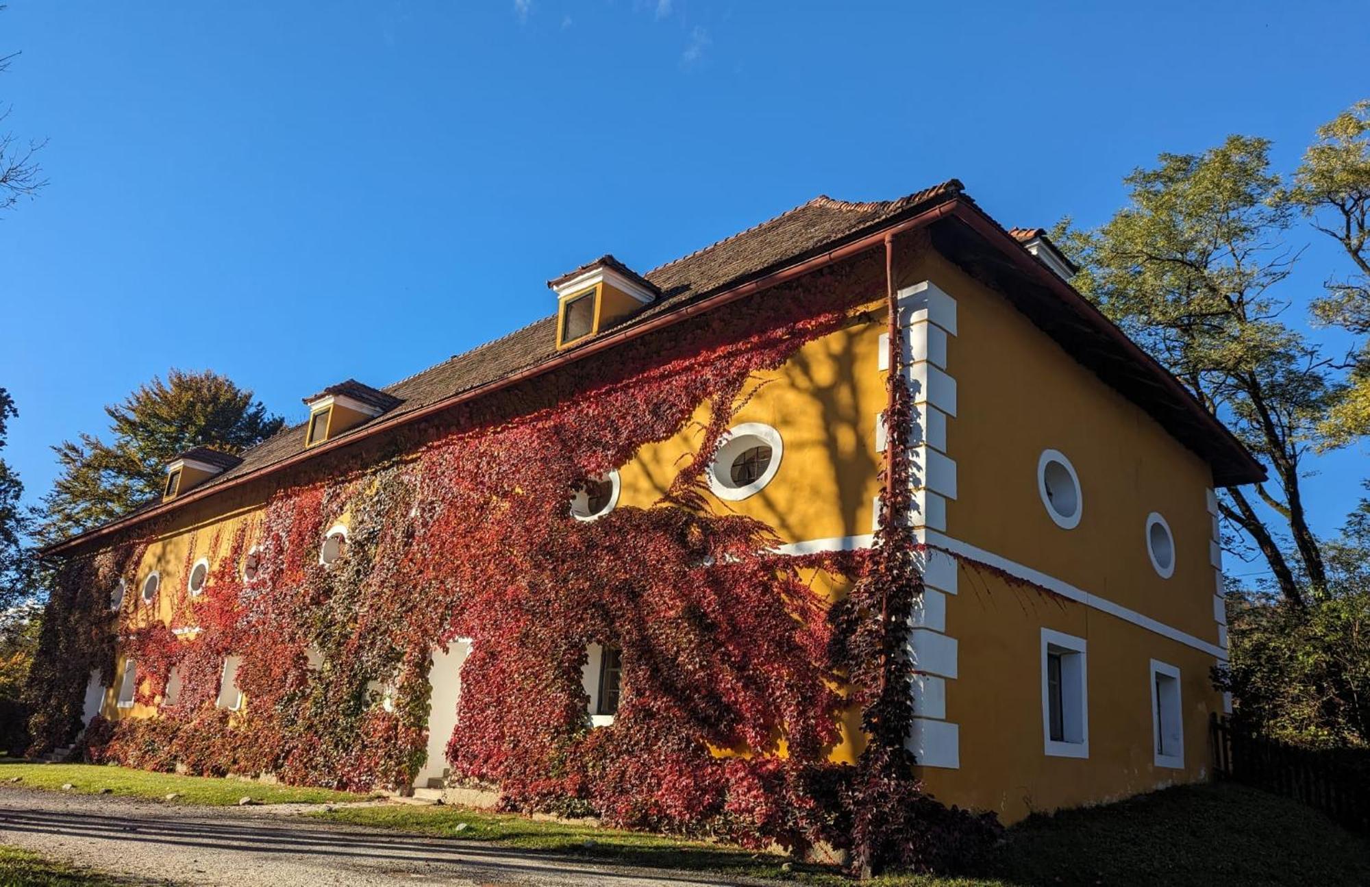 Ferienwohnung Ottmanach Josefhof Pischeldorf 외부 사진